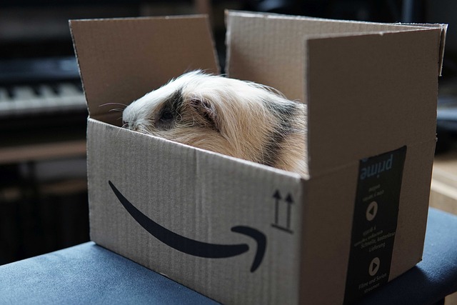 Top Deals to Grab on Amazon Prime Day 2024, July 16th and 17th