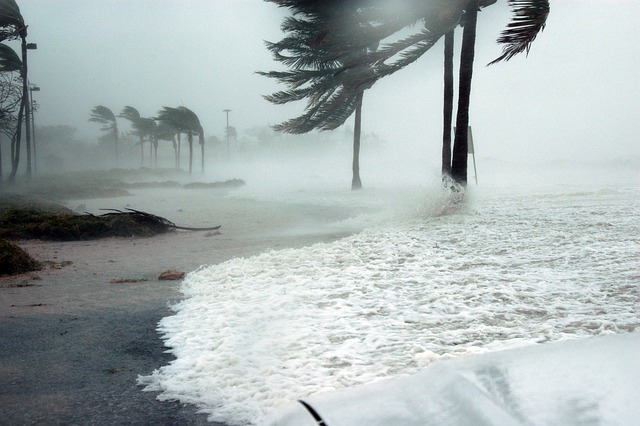 Surviving a Hurricane and the Aftermath: Essential Tips to Keep Your Family and Pets Safe