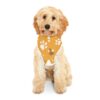 Comfortable Pet Hoodie with Playful Paw Print Design | Trendy Colors - Image 4