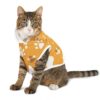 Comfortable Pet Hoodie with Playful Paw Print Design | Trendy Colors - Image 6