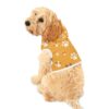 Comfortable Pet Hoodie with Playful Paw Print Design | Trendy Colors - Image 5