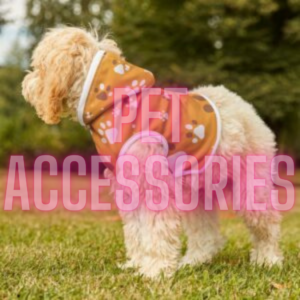 Pet Accessories